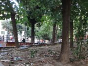 Richiesto un urgente intervento nei giardinetti di Piazza Cavour a Napoli, in stato di totale abbandono