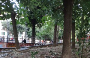 Richiesto un urgente intervento nei giardinetti di Piazza Cavour a Napoli, in stato di totale abbandono