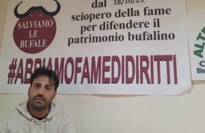 Brucellosi: Allevatori in sciopero della fame. “Addio alle bufale casertane, ma il problema è di tutto il Sud. Fate Presto!”