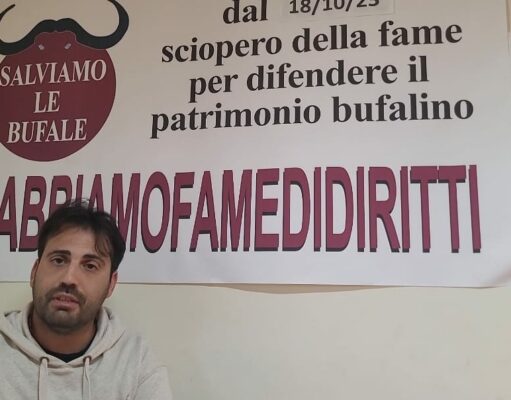 Brucellosi: Allevatori in sciopero della fame. “Addio alle bufale casertane, ma il problema è di tutto il Sud. Fate Presto!”