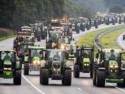 Anche gli agricoltori Calabresi e Siciliani scendono in piazza con i trattori: “Contro le regole della Comunità Europea”