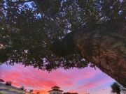 VII Evento dell’Aristocrazia Adriatica in Campania: Un Incontro di Nobiltà, Cultura e Beneficenza