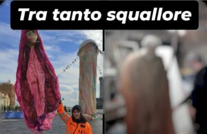 Via il ‘Pulcinella di Pesce’ da Piazza Municipio. A Breve un’opera stupenda tutta napoletana! Nuje ‘o ssapimmo!