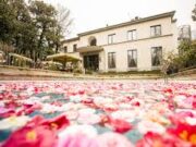 Un soffio di primavera dal Kent: quando il cuore non si trattiene