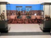 Museo di Antropologia di Napoli: viaggio nella biodiversità umana