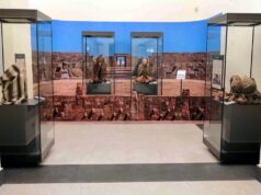 Museo di Antropologia di Napoli: viaggio nella biodiversità umana