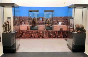 Museo di Antropologia di Napoli: viaggio nella biodiversità umana