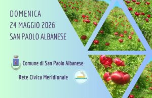 I fiori del Sud: l’azione civica del Mezzogiorno